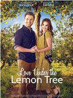 Love Under the Lemon Tree在线观看和下载