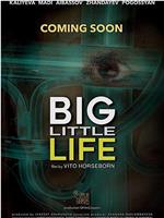 Big Little Life在线观看和下载