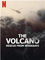 火山：法卡里营救在线观看和下载