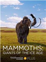 猛犸象：冰河世纪的巨兽在线观看和下载