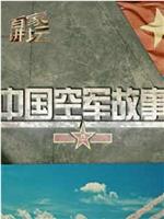 百家讲坛：中国空军故事在线观看和下载