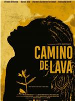 Camino de lava在线观看和下载
