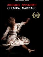 化学婚姻在线观看和下载