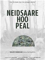 Neidsaare hoo peal在线观看和下载