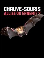 Chauve-souris : alliée ou ennemie ?在线观看和下载