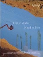 Feet in Water, Head on Fire在线观看和下载