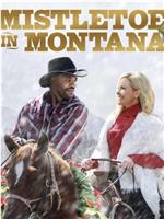 Mistletoe in Montana在线观看和下载