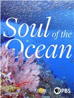 Soul of the Ocean在线观看和下载