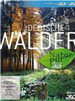 纯净的大自然：德意志森林在线观看和下载