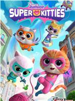超级猫咪 第一季在线观看和下载