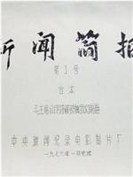 新闻简报1976年第1号：毛主席壮丽诗篇鼓舞我们前进在线观看和下载