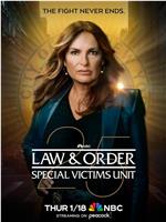 法律与秩序：特殊受害者 第二十五季在线观看和下载