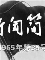 新闻简报1965年第39号在线观看和下载