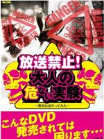 放送禁止！大人の危ない実験 ~都市伝説やってみた~在线观看和下载