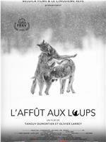 L'affût aux loups在线观看和下载