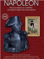 拿破仑传在线观看和下载