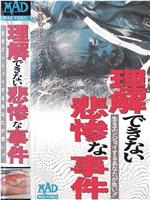 理解できない悲惨な事件在线观看和下载