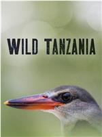 狂野坦桑尼亚 第一季在线观看和下载
