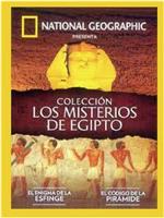 揭秘埃及：消失的亚历山大大帝的墓室 第一季在线观看和下载
