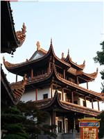 博物馆之城·中华文明探源季在线观看和下载