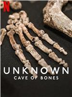 地球未知档案：骸骨洞穴在线观看和下载