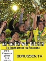 在这样的日子里：2012德国杯决赛纪录片在线观看和下载