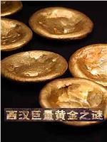 西汉巨量黄金之谜在线观看和下载
