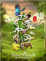 四季中国 第二季在线观看和下载
