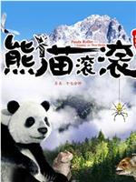 熊猫滚滚——寻找新家园在线观看和下载