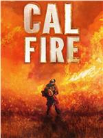 Cal Fire Season 1在线观看和下载