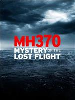 MH370：消失的航班在线观看和下载