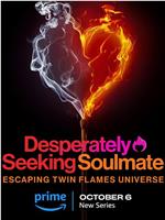 寻找灵魂伴侣：逃离双生火焰宇宙在线观看和下载