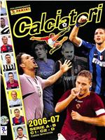 Serie A 2006/2007在线观看和下载