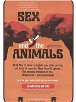 Sex and the Animals在线观看和下载