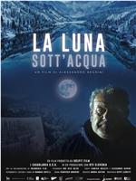 La luna sott'acqua在线观看和下载