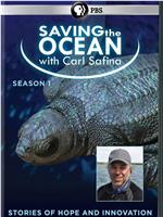 Saving the Ocean with Carl Safina Season 1在线观看和下载