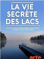 Secret Life of Lakes Season 1在线观看和下载