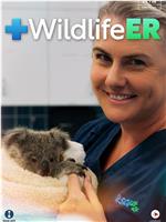 Wildlife ER Season 2在线观看和下载