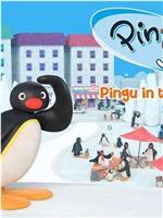 Pingu在都市在线观看和下载