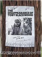 The Disappearance of Toby Blackwood在线观看和下载