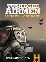 Tuskegee Airmen: Legacy of Courage在线观看和下载