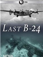 Last B-24在线观看和下载