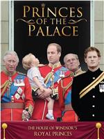 Princes of the Palace在线观看和下载