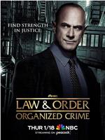 法律与秩序：组织犯罪 第四季在线观看和下载