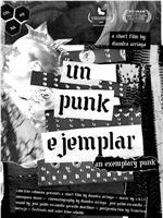 Un punk ejemplar在线观看和下载