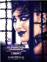WWE：铁笼密室 2024在线观看和下载