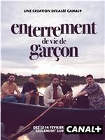 Enterrement de vie de garçon在线观看和下载