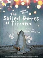 The Soiled Doves of Tijuana在线观看和下载