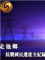 走他乡——抗战国民迁徙全纪录在线观看和下载