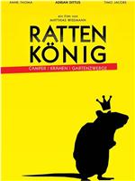 Rattenkönig在线观看和下载